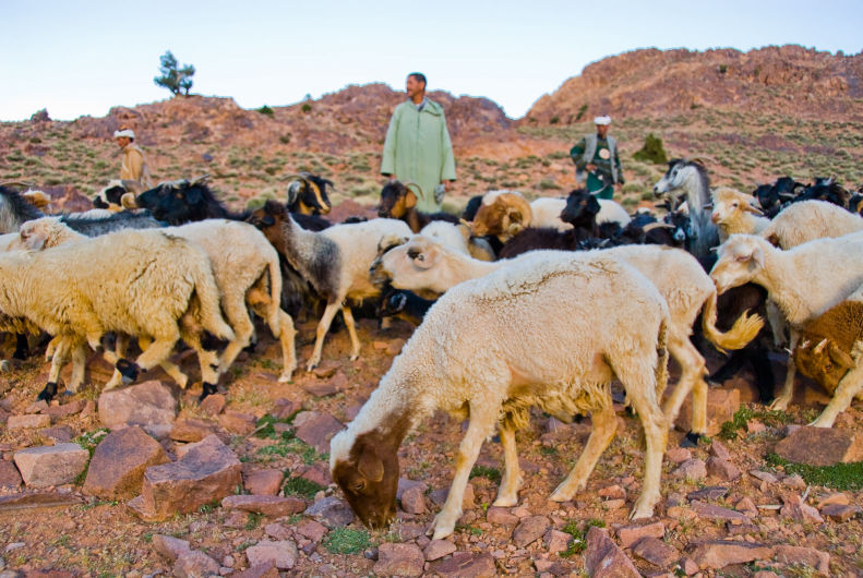 The Ait Atta Nomads of Morocco